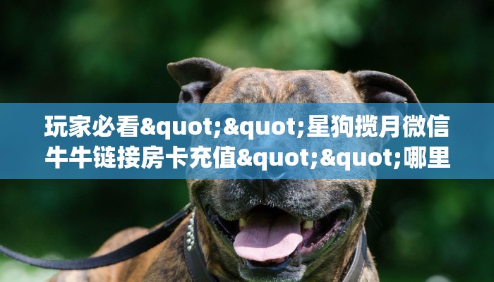 实测分享""微信金猪金花房卡大厅链接""在哪里获取房卡充值教程?