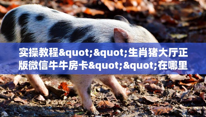 实测分享""神皇微信牛牛链接房卡充值""房卡购买方法”获取教程房卡使用方式